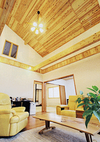 漆喰とスギの自然素材で快適　開放感と木の香りに溢れる家